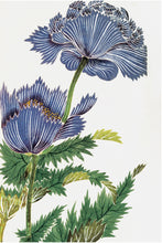 Ornis Galleries Japanese Woodblocks - 15” x 12”